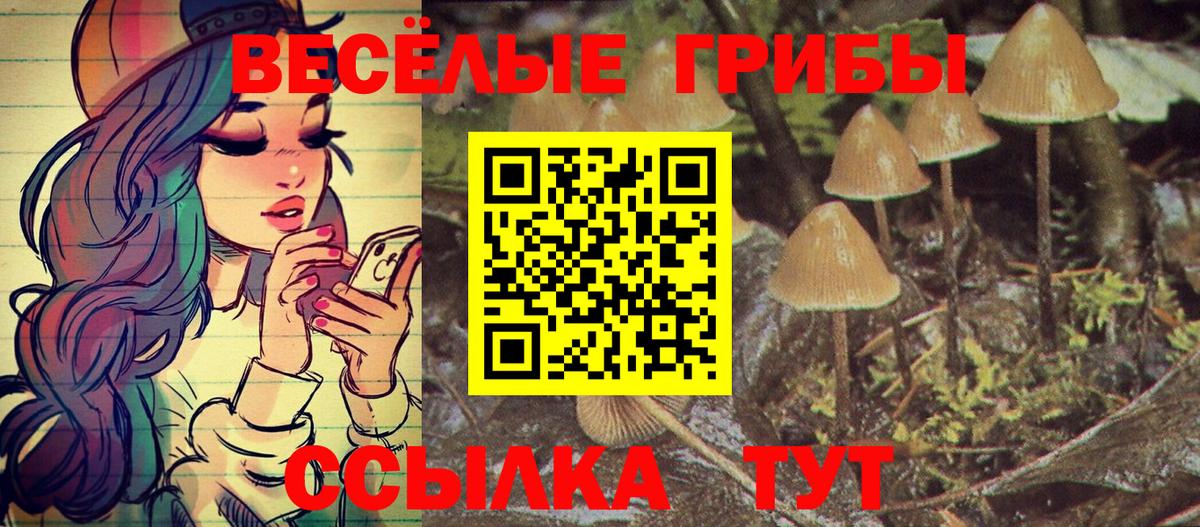 Псилоцибиновые грибы мицелий Ярославль