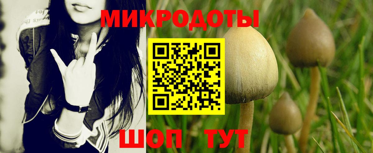 Псилоцибиновые грибы мицелий  купить наркоту  Ярославль  Вход с VPN 